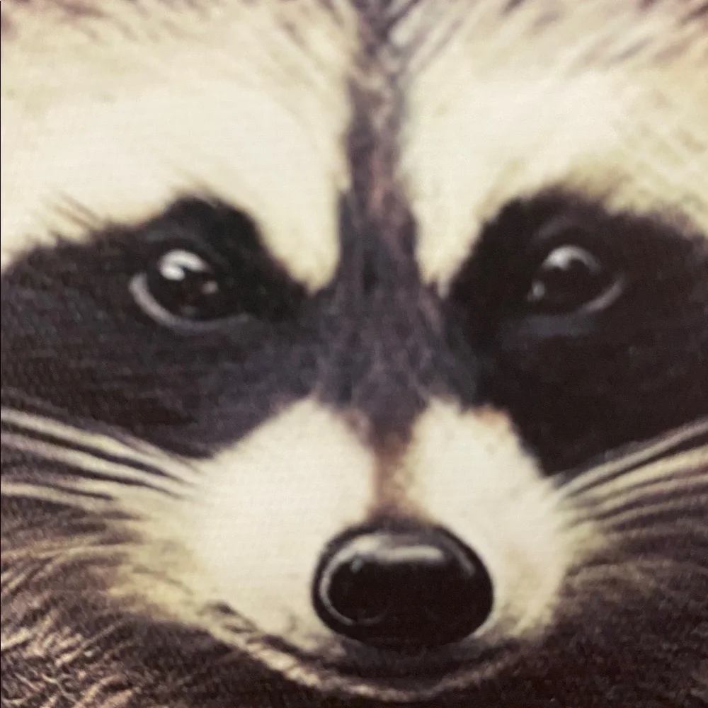 Mr Raccoon 🦝 portrait wall art - Picture 3 of 7